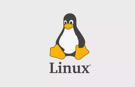 扣丁學堂Linux培訓分享Linux定義變量腳本